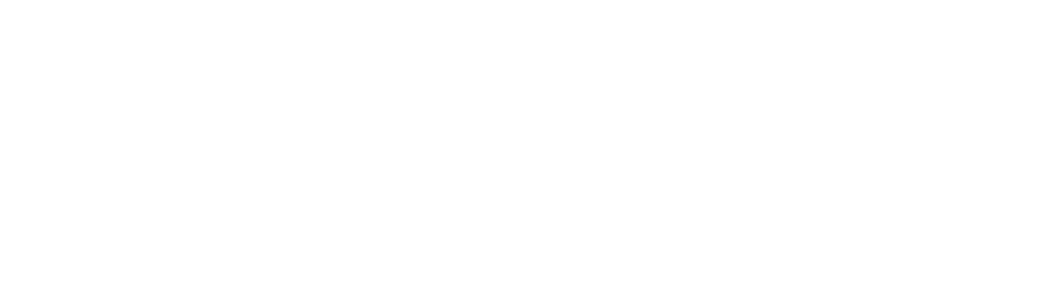 LOGO_VALENTINO_WHITE